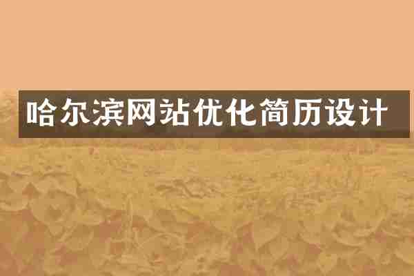 哈尔滨网站优化简历设计