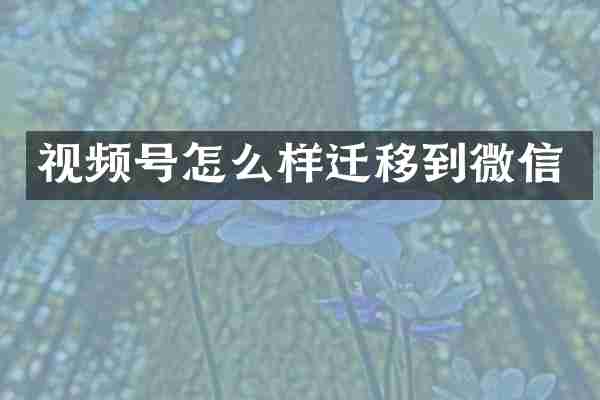 视频号怎么样迁移到微信