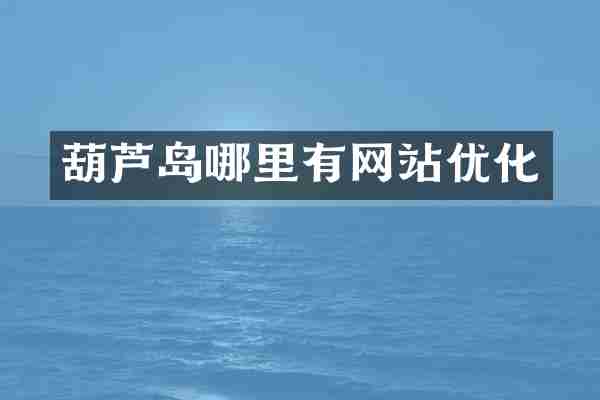 葫芦岛哪里有网站优化