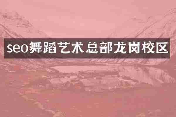 seo舞蹈艺术总部龙岗校区