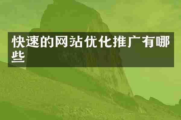 快速的网站优化推广有哪些