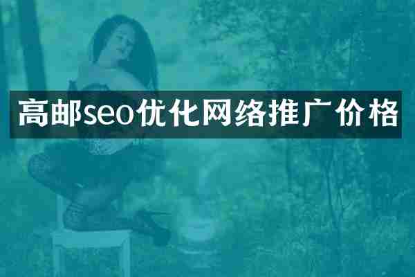 高邮seo优化网络推广价格