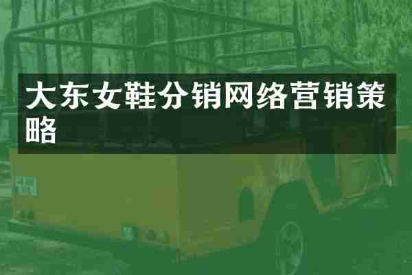 大东女鞋分销网络营销策略