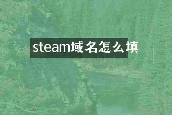steam域名怎么填