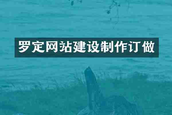 罗定网站建设制作订做