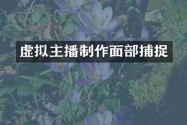 虚拟主播制作面部捕捉