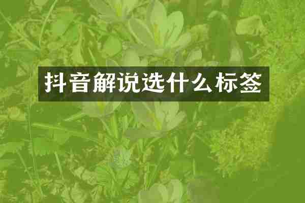 抖音解说选什么标签