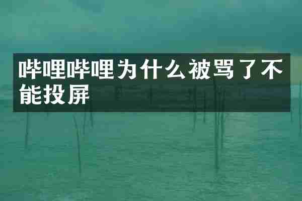 哔哩哔哩为什么被骂了不能投屏