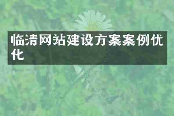临清网站建设方案案例优化