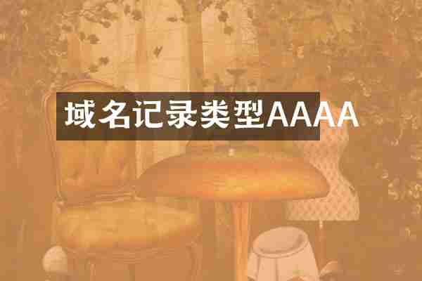 域名记录类型AAAA