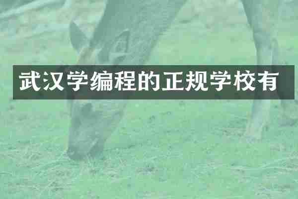 武汉学编程的正规学校有