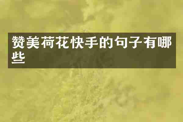 赞美荷花快手的句子有哪些