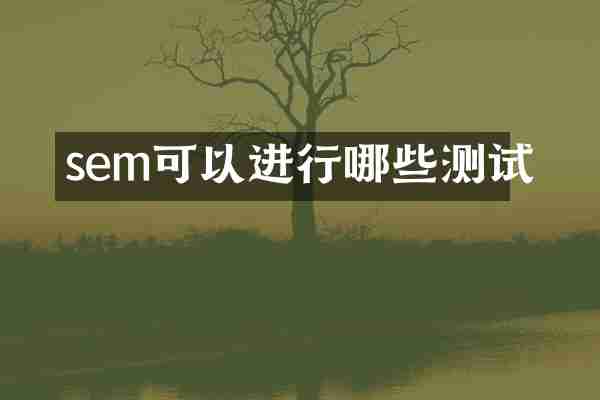 sem可以进行哪些测试