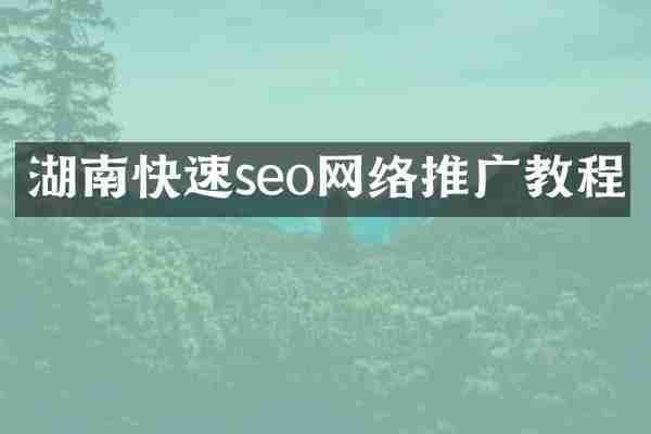 湖南快速seo网络推广教程