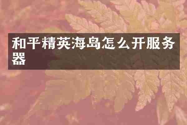 和平精英海岛怎么开服务器