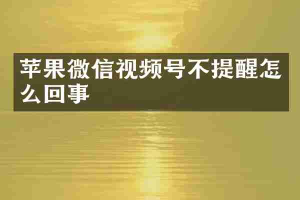 苹果微信视频号不提醒怎么回事