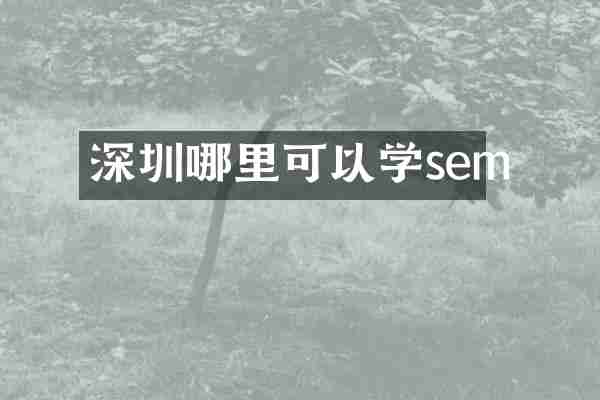深圳哪里可以学sem