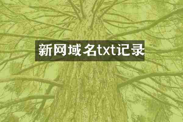 新网域名txt记录