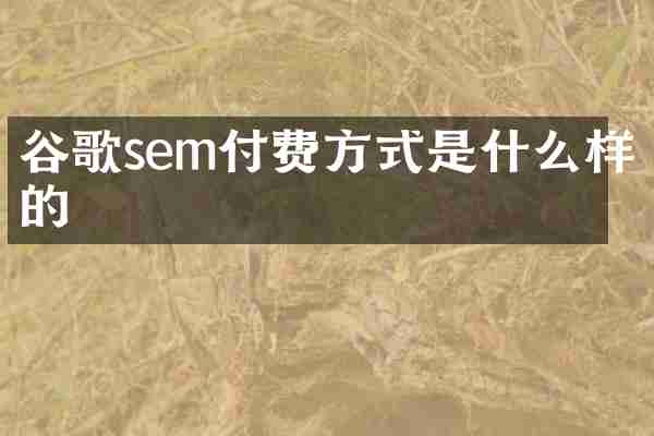 谷歌sem付费方式是什么样的