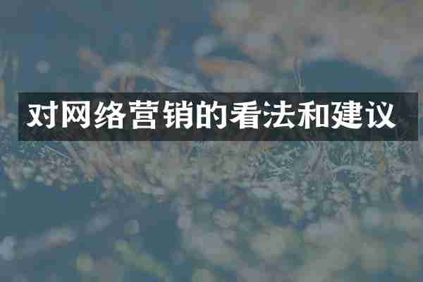 对网络营销的看法和建议