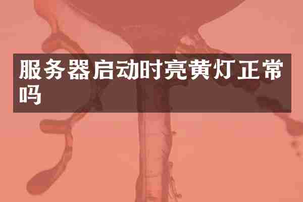 服务器启动时亮黄灯正常吗