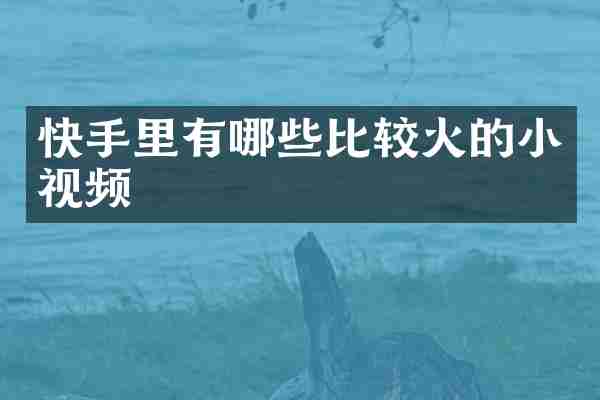 快手里有哪些比较火的小视频