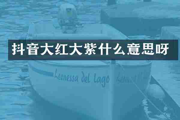 抖音大红大紫什么意思呀