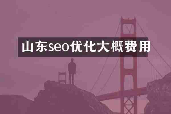 山东seo优化大概费用