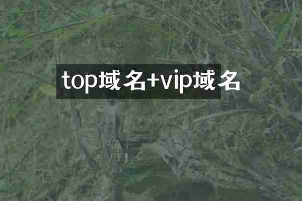 top域名+vip域名