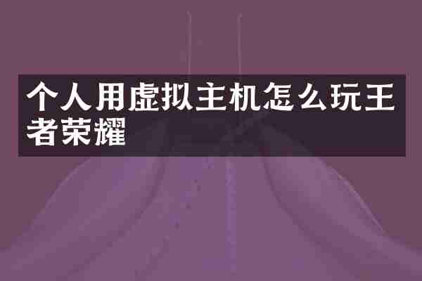 个人用虚拟主机怎么玩王者荣耀