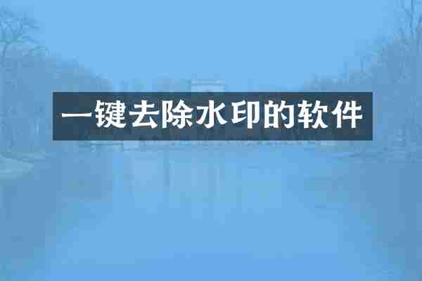 一键去除水印的软件
