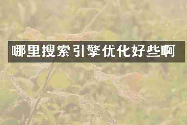 哪里搜索引擎优化好些啊