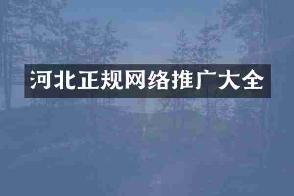 河北正规网络推广大全