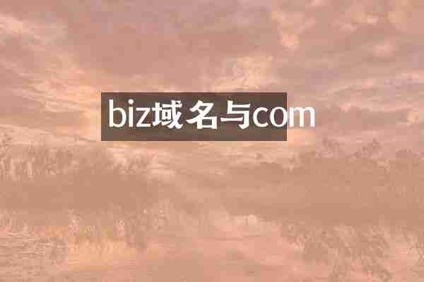 biz域名与com