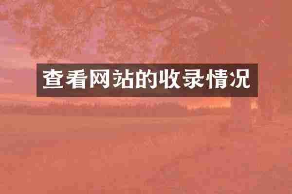 查看网站的收录情况