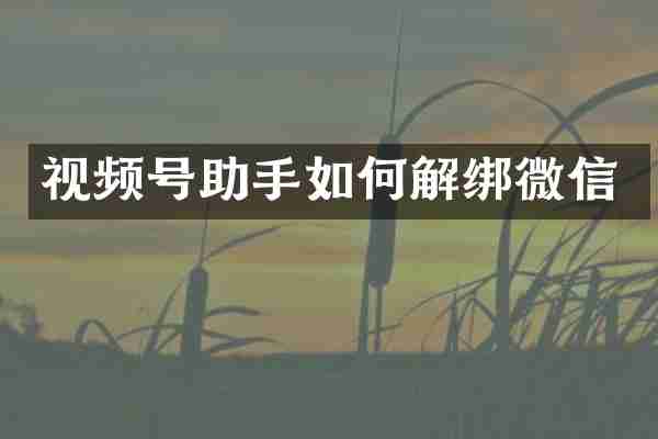 视频号助手如何解绑微信