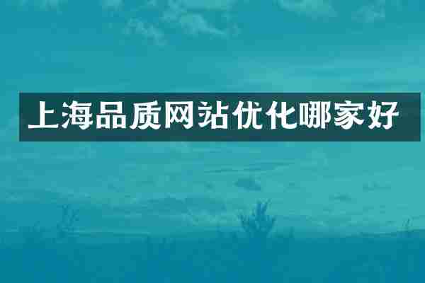 上海品质网站优化哪家好