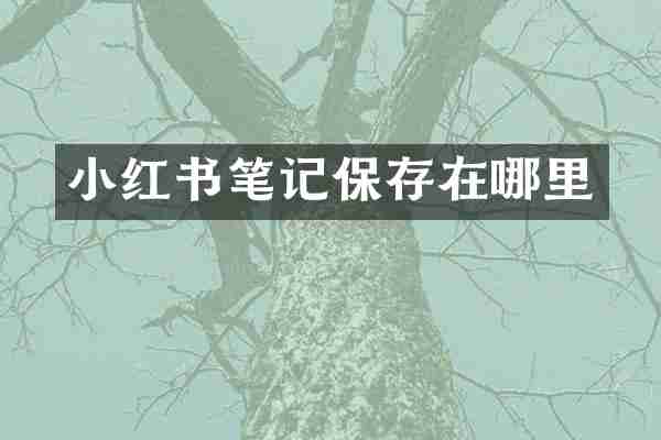 小红书笔记保存在哪里