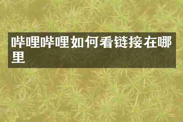 哔哩哔哩如何看链接在哪里