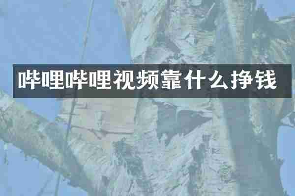 哔哩哔哩视频靠什么挣钱