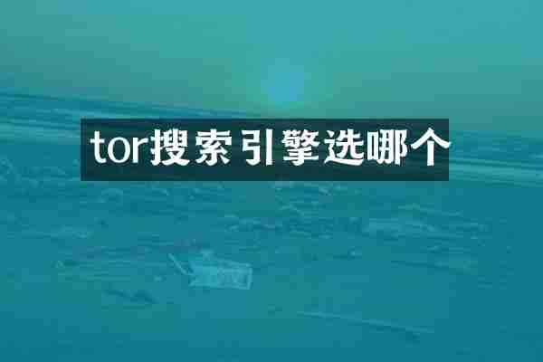 tor搜索引擎选哪个