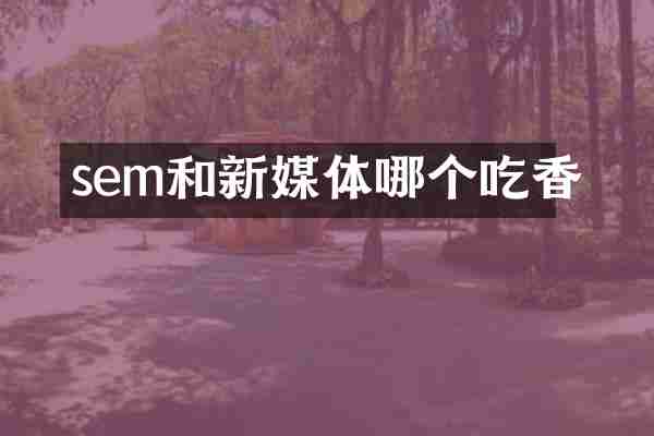 sem和新媒体哪个吃香
