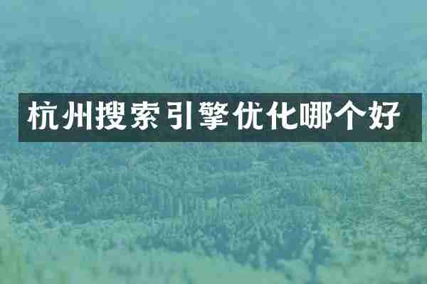 杭州搜索引擎优化哪个好