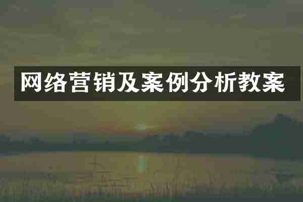 网络营销及案例分析教案