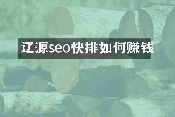 辽源seo快排如何赚钱
