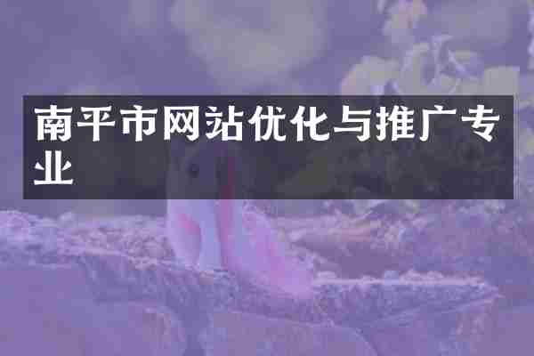 南平市网站优化与推广专业