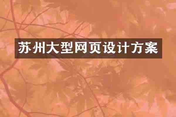 苏州大型网页设计方案