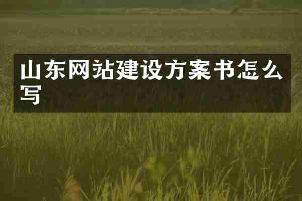 山东网站建设方案书怎么写