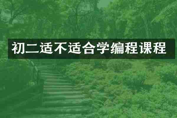 初二适不适合学编程课程