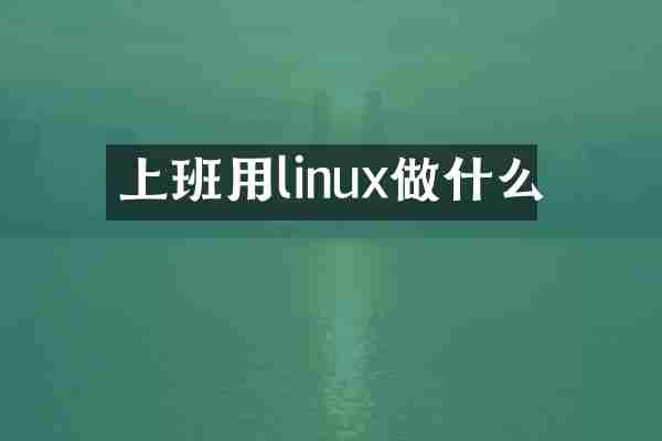 上班用linux做什么